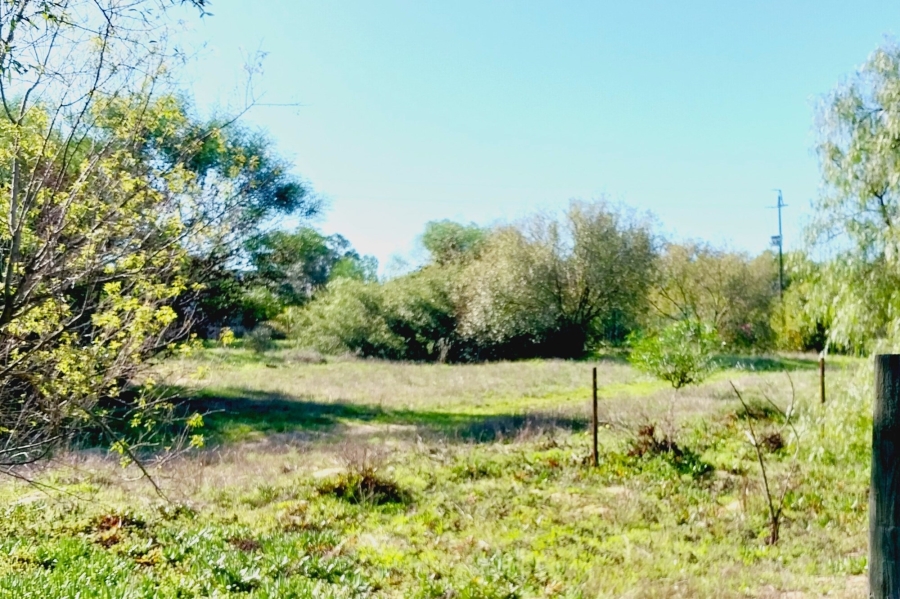 0 Bedroom Property for Sale in Tierfontein AH Western Cape